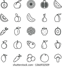 thin line vector icon set - carrot vector, blueberries, apple, orange slice, ripe peach, half pomegranate, blackberry, blueberry, of water melon, mango, loquat, delicious plum, tangerine, cherry