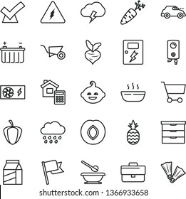 thin line vector icon set - briefcase vector, storage unit, rainy cloud, plates and spoons, funny hairdo, building trolley, estimate, dangers, boiler, flag, storm, package, hot porridge, a pineapple