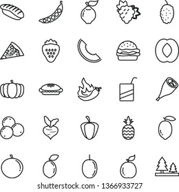 thin line vector icon set - vector e, piece of pizza, burger, pie, grill chicken leg, japanese sushi, strawberry, a pineapple, branch grape, quince, blueberries, mulberry, slice melon, half peach