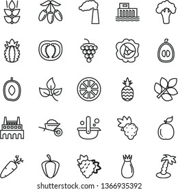 thin line vector icon set - garden trolley vector, carrot, a pineapple, mint, grape, branch of, large, squash, rose hip, goji berry, delicious plum, half loquat, juicy lemon, guava, ripe, tomato
