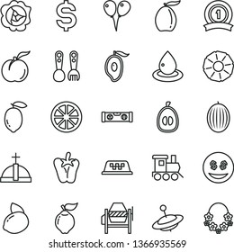 thin line vector icon set - plastic fork spoons vector, baby toy train, yule, colored air balloons, concrete mixer, building level, peper, ripe peach, squash, quince, melon, half of mango, loquat