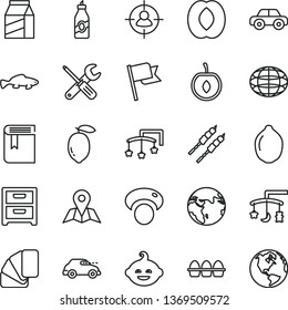thin line vector icon set - book vector, toys over the cradle, cot, motor vehicle, funny hairdo, small tools, sample of colour, map, flag, nightstand, package, bundle eggs, barbecue, fish, liquor