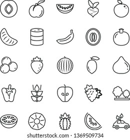thin line vector icon set - peper vector, mint, ripe peach, pomegranate, branch of grape, tasty apple, plum, raspberry, fig, blueberries, water melon, slice, half, tangerine, lemon, banana, beet