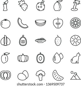 thin line vector icon set - eggs vector, slices of onion, grape, tasty apple, mulberry, slice melon, loquat, delicious plum, tangerine, half, ripe, juicy lemon, piece coconut, pineapple, stub, drop
