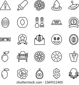 thin line vector icon set - warning vector, plastic fork spoons, yule, concrete mixer, building level, peper, squash, quince, melon, half peach, loquat, lemon, juicy, slice of, pineapple, drop oil