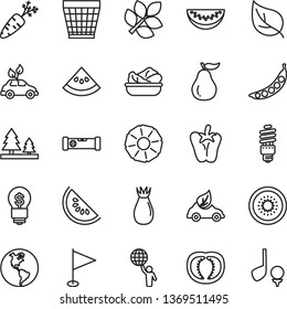 thin line vector icon set - wicker pot vector, pennant, construction level, lettuce in a plate, peper, rose hip, slice of water melon, half kiwi, pineapple, ripe guava, tomato, carrot, peas, leaf