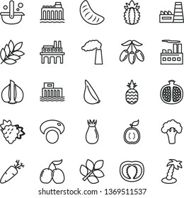 thin line vector icon set - garlic vector, carrot, a pineapple, half pomegranate, branch of grape, rose hip, tasty cornels, goji berry, slice tangerine, guawa, ripe, tomato, mashroom, broccoli