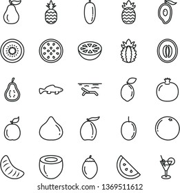 thin line vector icon set - small fish vector, a pineapple, orange slice, pomegranate, fig, half of mango, loquat, melon, date fruit, tangerine, passion, kiwi, tamarillo, sour lime, guava, coconut