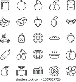 thin line vector icon set - loaf vector, hot porridge, cucumber, coffee beans, jam, apple, squash, raspberry, cornels, tasty, loquat, water melon slice, tangerine, half, yellow lemon, of kiwi, valve