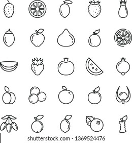 thin line vector icon set - blueberries vector, apple, orange slice, pomegranate, apricot, red, strawberry, rose hip, fig, medlar, tasty raspberry, blueberry, mulberry, goji berry, lemon, juicy, of