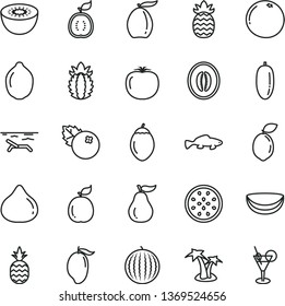 thin line vector icon set - small fish vector, blueberries, a pineapple, fig, water melon, mango, loquat, half, date fruit, lime, kiwi, of passion, tamarillo, sour, guava, guawa, piece coconut, ripe