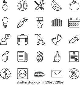 thin line vector icon set - growth up vector, sitting stroller, footprints, small tools, plastic brush, hedge, envelope, case, tomato, beet, orange slice, water melon, sour lime, pineapple, carrot