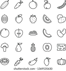 thin line vector icon set - piece of cheese vector, onion, cucumber, carrot, a pineapple, peach, half apricot, red apple, tasty, blackberry, melon, slice, water, mango, tangerine, grapefruit, potato