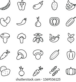thin line vector icon set - mushroom vector, porcini, meat on skewers, cucumber, chili, peper, beet, carrot, mulberry, goji berry, half tomato, Bell pepper, red, hot, onion, potato, peas, beans