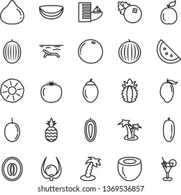 thin line vector icon set - blueberries vector, a pineapple, orange slice, fig, melon, water, mango, half, date fruit, passion, sweet, tamarillo, guava, piece of coconut, ripe, grapefruit, physalis