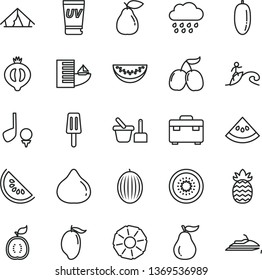 thin line vector icon set - rainy cloud vector, toy sand set, suitcase, popsicle, pear, fig, half of medlar, tasty cornels, melon, slice water, mango, date fruit, kiwi, guawa, pineapple, ripe guava