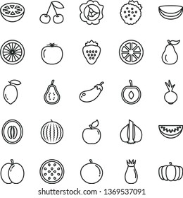 thin line vector icon set - beet vector, strawberry, strawberries, cherry, apple, squash, apricot, rose hip, water melon, half, slice, tangerine, lemon, juicy, of passion fruit, orange, grapefruit