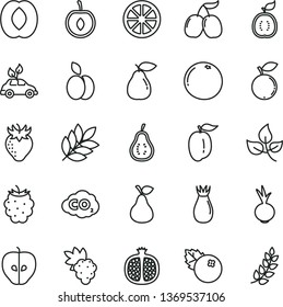 thin line vector icon set - beet vector, blueberries, apple, pear, half pomegranate, grape, tasty, strawberry, rose hip, blackberry, blueberry, cornels, peach, ripe plum, cherry, juicy lemon, leaves