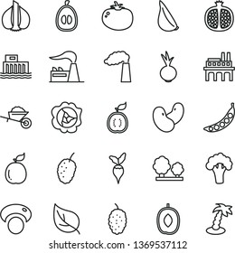 thin line vector icon set - garden trolley vector, tomato, beet, garlic, half pomegranate, squash, mulberry, tasty, delicious plum, loquat, guava, of guawa, peas, beans, mashroom, broccoli, radish