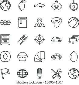 thin line vector icon set - sign of the planet vector, book, toys over cot, baby bath ball, motor vehicle, funny hairdo, small tools, sample colour, map, flag, nightstand, bundle eggs, cake, fish