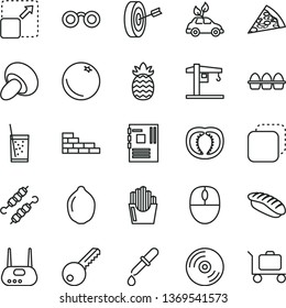 thin line vector icon set - crane vector, brick wall, key, CD, copy, expand picture, bundle of eggs, piece pizza, porcini, meat on skewers, fried potato slices, japanese sushi, a glass soda, orange