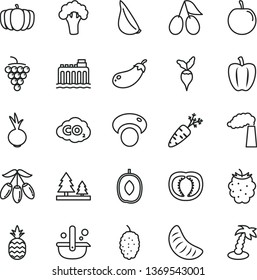 thin line vector icon set - beet vector, garlic, a pineapple, large grape, cornels, blackberry, mulberry, goji berry, delicious plum, slice of tangerine, tasty, half tomato, Bell pepper, carrot