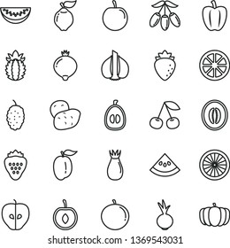 thin line vector icon set - beet vector, strawberry, cherry, quince, tasty apple, raspberry, rose hip, medlar, mulberry, goji berry, half melon, water slice, tangerine, loquat, ripe plum, of orange