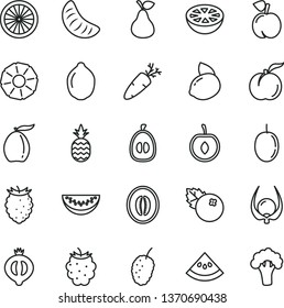 thin line vector icon set - carrot vector, blueberries, a pineapple, pear, peach, ripe, half of medlar, blackberry, tasty raspberry, mulberry, loquat, melon, water slice, tangerine, cherry, lime