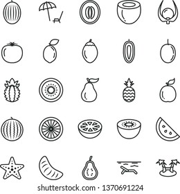 thin line vector icon set - a pineapple vector, orange slice, melon, water, half, of tangerine, passion fruit, sweet date, kiwi, tamarillo, sour lime, guava, coconut, ripe, grapefruit, part, beach