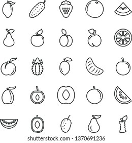 thin line vector icon set - cucumber vector, strawberry, apple, pear, peach, ripe, apricot, tasty mulberry, slice of water melon, mango, loquat, delicious plum, half, tangerine, cherry, lemon, juicy