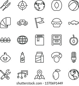 thin line vector icon set - book vector, toys over the cot, baby bath ball, motor vehicle, funny hairdo, small tools, sample of colour, map, flag, nightstand, package, bundle eggs, cake, barbecue