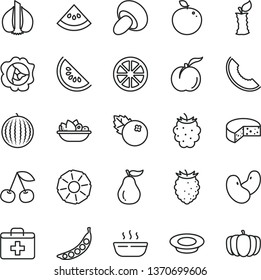 thin line vector icon set - first aid kit vector, cheese, porcini, hot porridge, a plate of fruit, milk, blueberries, cherry, ripe peach, squash, blackberry, tasty raspberry, water melon, slice