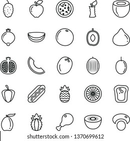 thin line vector icon set - pizza vector, Hot Dog, chicken leg, sandwich, half pomegranate, red apple, fig, medlar, mulberry, melon, slice of, loquat, delicious plum, passion fruit, kiwi, orange