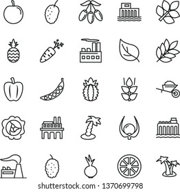 thin line vector icon set - garden trolley vector, beet, a pineapple, mint, squash, mulberry, tasty, goji berry, plum, juicy lemon, ripe, physalis, Bell pepper, carrot, peas, leaf, factory, biology