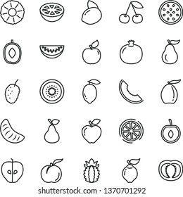 thin line vector icon set - pear vector, cherry, ripe peach, pomegranate, quince, apricot, red apple, tasty, mulberry, slice of melon, loquat, delicious plum, water, tangerine, half, lemon, yellow
