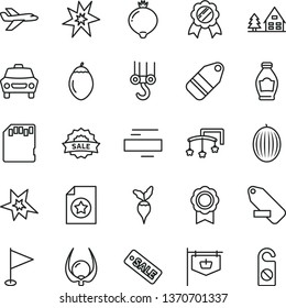 thin line vector icon set - minus vector, remove label, pennant, toys over the cot, winch hook, car, bottle, medlar, melon, tamarillo, physalis, radish, vintage sign, season sale, sd card, medal