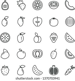 thin line vector icon set - strawberry vector, apple, orange slice, half pomegranate, grape, pear, tasty, blackberry, mulberry, water melon, of, mango, tangerine, loquat, ripe plum, yellow lemon