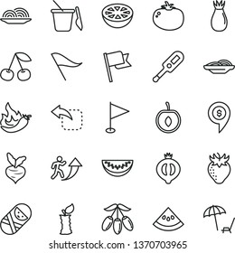 thin line vector icon set - wind direction indicator vector, pennant, electronic thermometer e, tumbler, children's sand set, flag, move left, onion, slices of, tomato, cherry, strawberry, rose hip