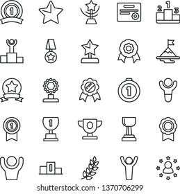 thin line vector icon set - star vector, pedestal, medal, winner, laurel branch, podium, prize, award, cup, gold, reward, man hands up, motivation, first place, with pennant, ribbon, certificate