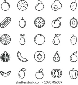 thin line vector icon set - Hot Dog vector, fried egg, ripe peach, half pomegranate, apricot, plum, rose hip, mulberry, tasty, slice of melon, delicious, water, passion fruit, lemon, yellow, juicy