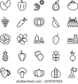 thin line vector icon set - tomato vector, beet, garlic, carrot, a pineapple, mint, grape, branch of, large, squash, tasty mulberry, half guawa, Bell pepper, ripe, beans, broccoli, pumpkin, forest