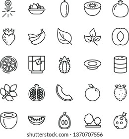 thin line vector icon set - a plate of fruit vector, milk, glass tea, pomegranate, half, strawberry, tasty raspberry, slice melon, peach, water, date, loquat, bananas, kiwi, delicious apple, lemon