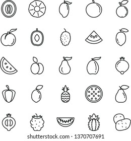thin line vector icon set - a pineapple vector, apple, orange slice, ripe peach, pear, medlar, half of, blackberry, blueberry, mulberry, mango, loquat, delicious plum, melon, water, tangerine, lemon