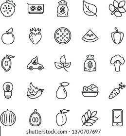 thin line vector icon set - lettuce in a plate vector, strawberries, pear, apricot, strawberry, water melon, half of mango, loquat, ripe plum, passion fruit, slice, pepper, hot, carrot, broccoli