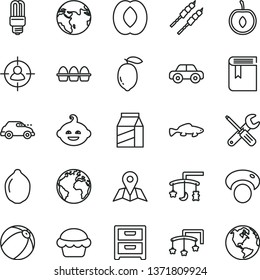 thin line vector icon set - sign of the planet vector, book, toys over cradle, cot, baby bath ball, motor vehicle, funny hairdo, small tools, map, nightstand, package, bundle eggs, cake, barbecue