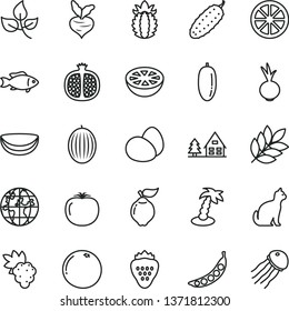 thin line vector icon set - eggs vector, cucumber, beet, fish, strawberry, half pomegranate, grape, quince, melon, date fruit, juicy lemon, piece of coconut, ripe pineapple, grapefruit, persimmon