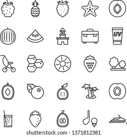 thin line vector icon set - summer stroller vector, suitcase, a glass of soda, blueberries, strawberry, pineapple, honeycombs, half apricot, plum, raspberry, blackberry, tasty, water melon, loquat