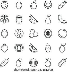 thin line vector icon set - cucumber vector, carrot, pear, orange slice, quince, medlar, blackberry, blueberry, blueberries, mulberry, melon, water, of, goji berry, half, passion fruit, sour lime