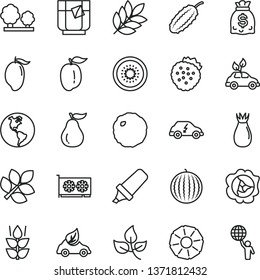thin line vector icon set - cabbage vector, a glass of tea, strawberries, mint, squash, rose hip, water melon, mango, ripe plum, half kiwi, slice pineapple, guava, cucumber, leaves, planet Earth