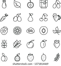 thin line vector icon set - a glass of tea vector, strawberries, apple, pear, mint, cherry, ripe peach, branch grape, plum, strawberry, rose hip, cornels, blackberry, mulberry, tasty, half, guawa